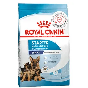 Royal canin maxi starter